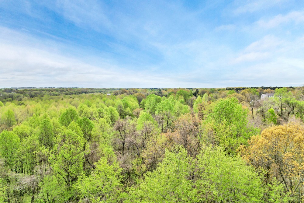 2888 Old Medina Road Jackson, TN 38305 - Photo 13 of 18