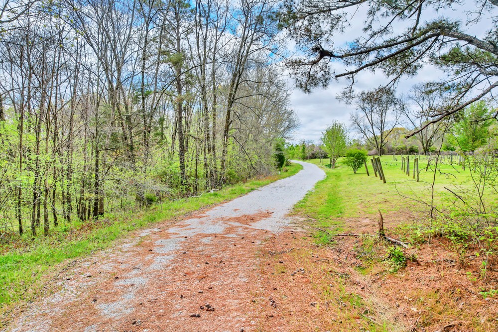 2888 Old Medina Road Jackson, TN 38305 - Photo 17 of 18