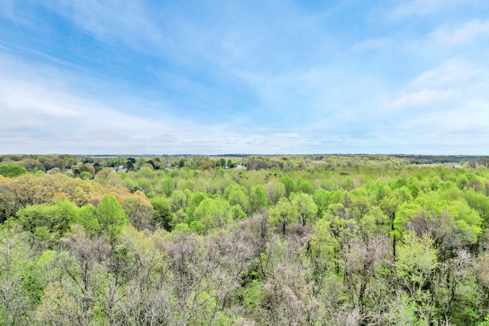 2888 Old Medina Road Jackson, TN 38305 - Photo 18 of 18