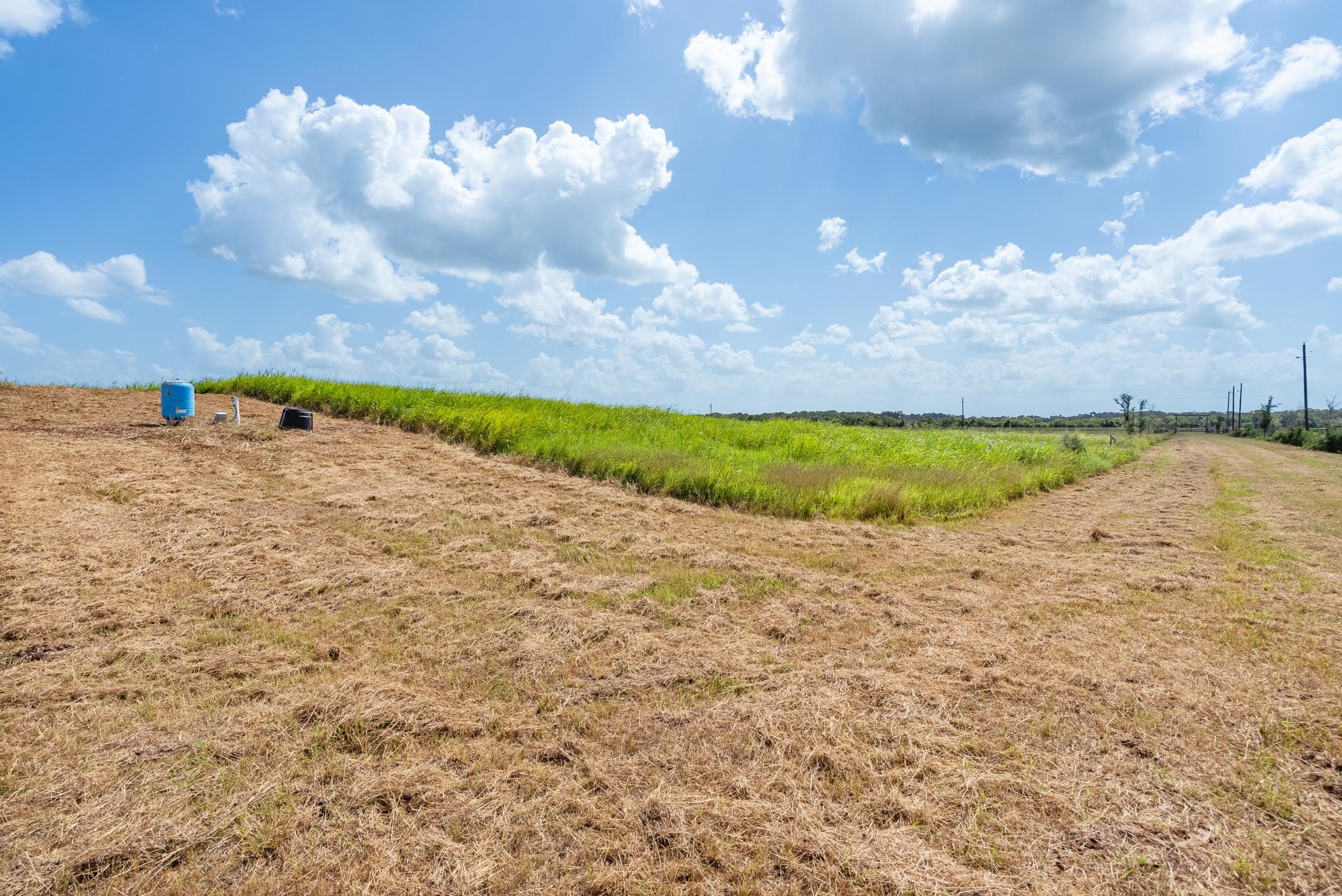 Tbd Guyler Road Wallis, TX 77485 - Photo 12 of 33 a view of a dry yard with wooden fence
