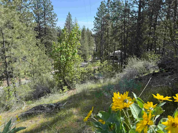 $110,000 | 42078 Porcupine Bay Road, Davenport, WA 99122