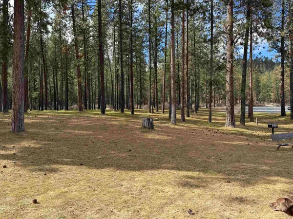 $110,000 | 42078 Porcupine Bay Road, Davenport, WA 99122