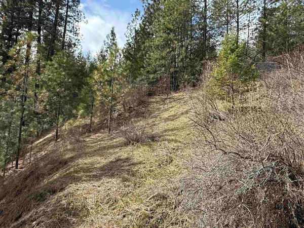 $110,000 | 42078 Porcupine Bay Road, Davenport, WA 99122