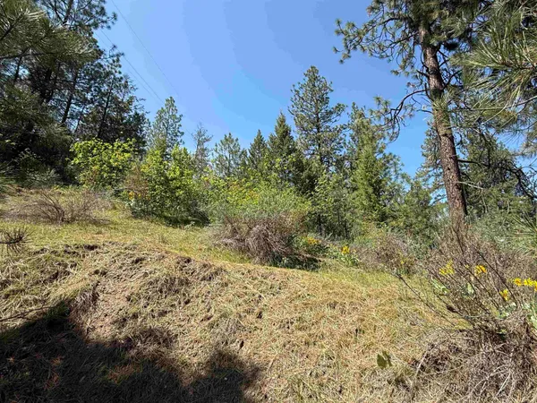 $110,000 | 42078 Porcupine Bay Road, Davenport, WA 99122