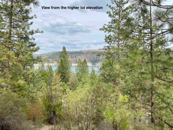 $110,000 | 42078 Porcupine Bay Road, Davenport, WA 99122