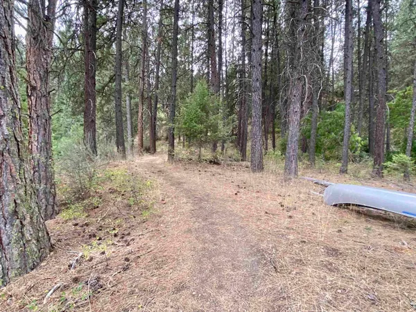 $110,000 | 42078 Porcupine Bay Road, Davenport, WA 99122