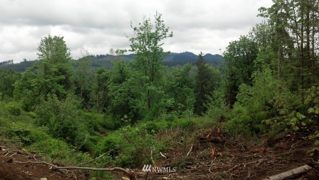 22355 Granstrom Road Mount Vernon, WA 98274 - Photo 1 of 1 Gallery Image 1