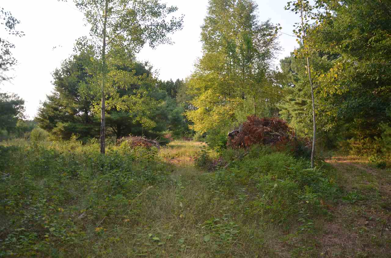 10193 East River Road Mount Pleasant, MI 48858 - Photo 20 of 27 1879302-19.JPG