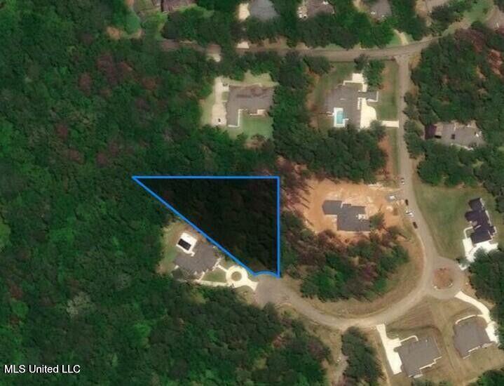 922 Brookhollow Court Flowood, MS 39232 - Photo 11 of 13 20250227040033916975000000-o