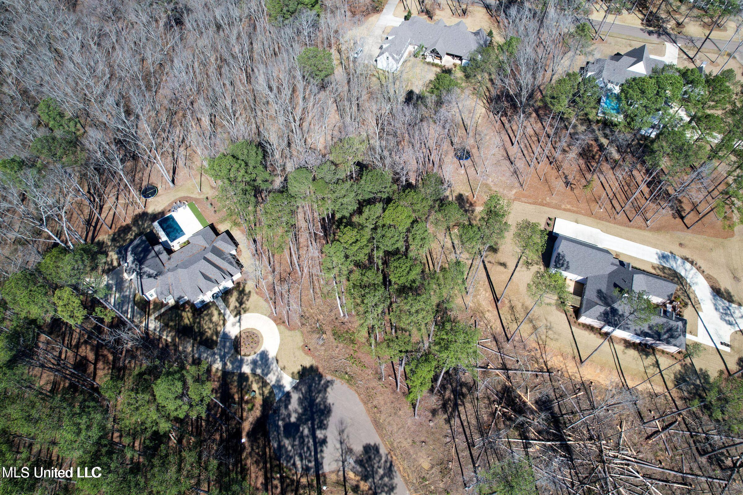 922 Brookhollow Court Flowood, MS 39232 - Photo 3 of 13 Aerial