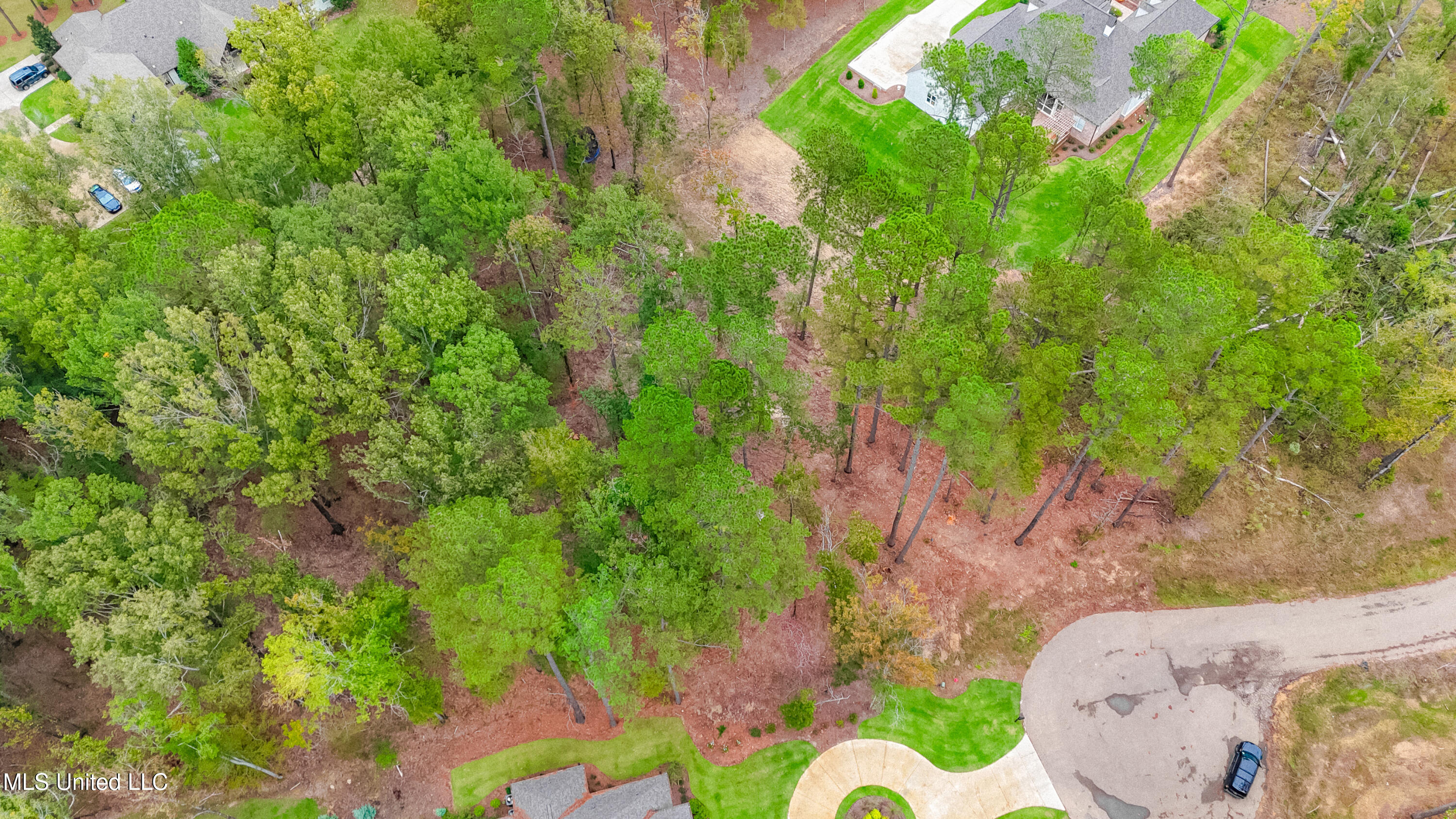 922 Brookhollow Court Flowood, MS 39232 - Photo 7 of 13 DJI_20251026142735_0018_D-2