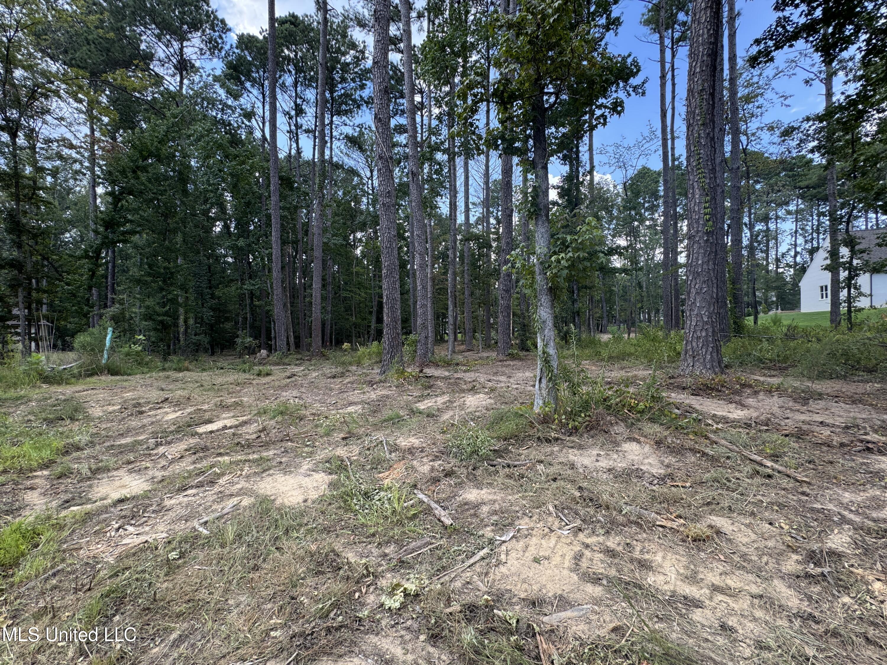 922 Brookhollow Court Flowood, MS 39232 - Photo 9 of 13 IMG_9203