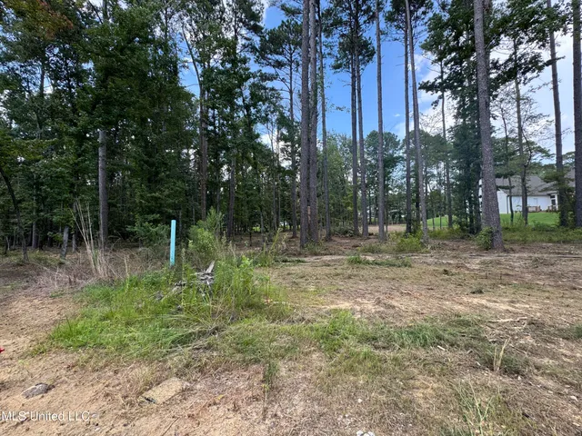 $165,000 | 922 Brookhollow Court, Flowood, MS 39232