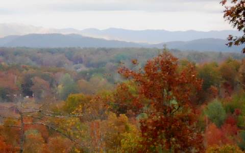 Lot11 Beaver Ridge Road Blairsville, GA 30512 - Photo 1 of 1 Main View