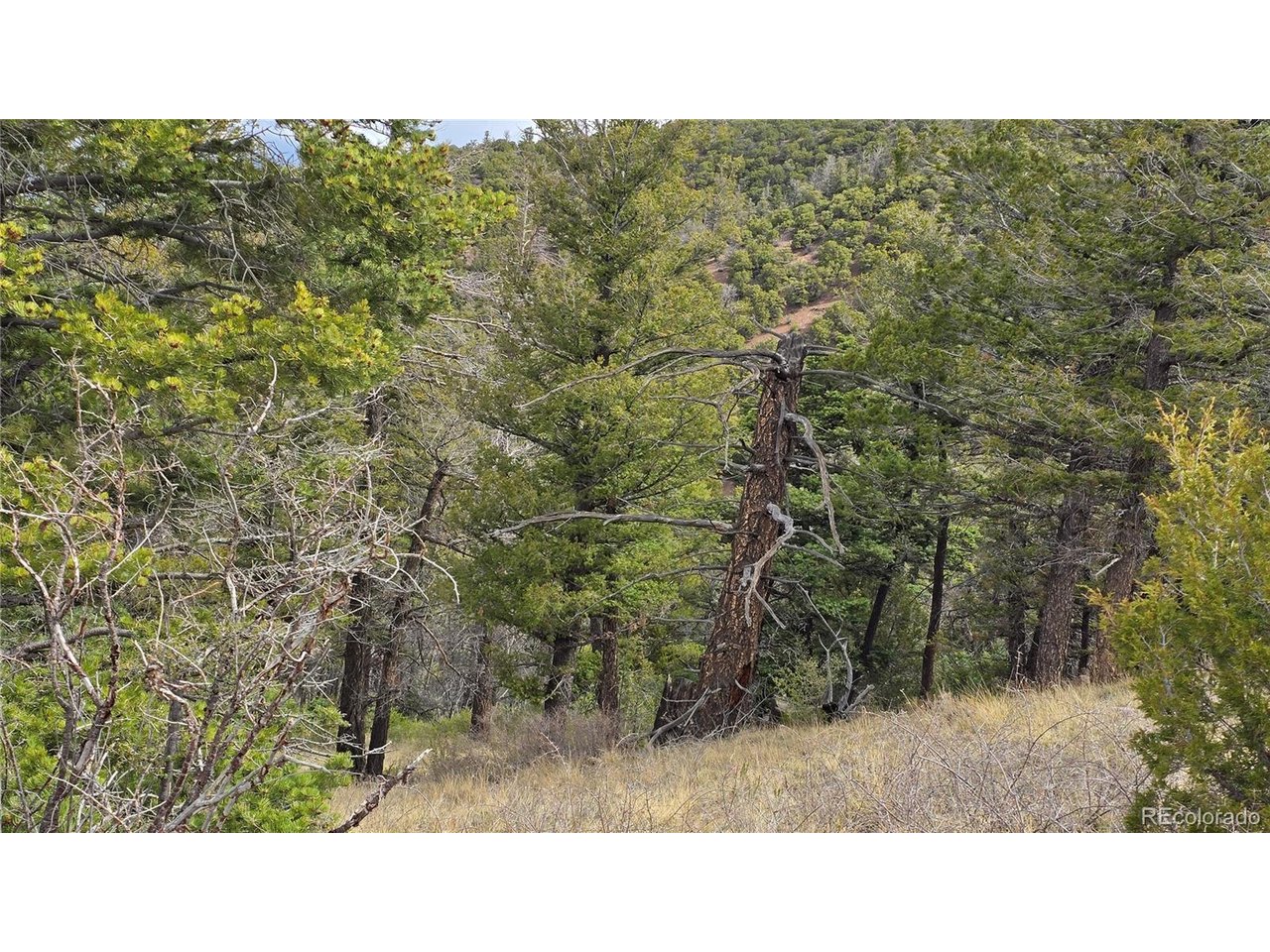 5505 Balleroy Road San Luis, CO 81152 - Photo 3 of 32