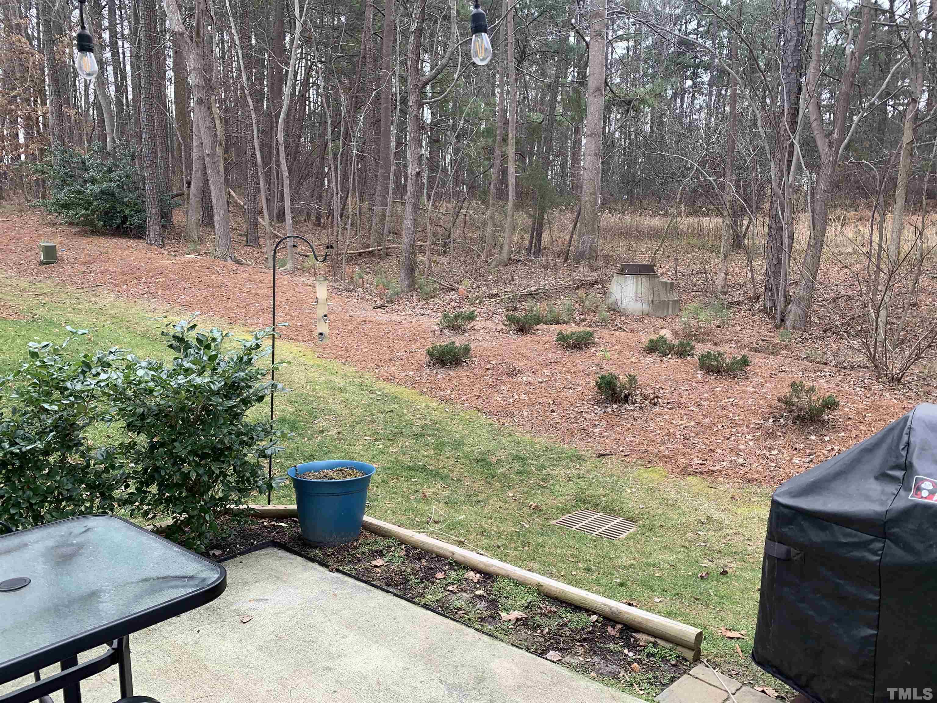 4351 Sugarbend Way Raleigh, NC 27606 - Photo 4 of 25 Gallery Image 4