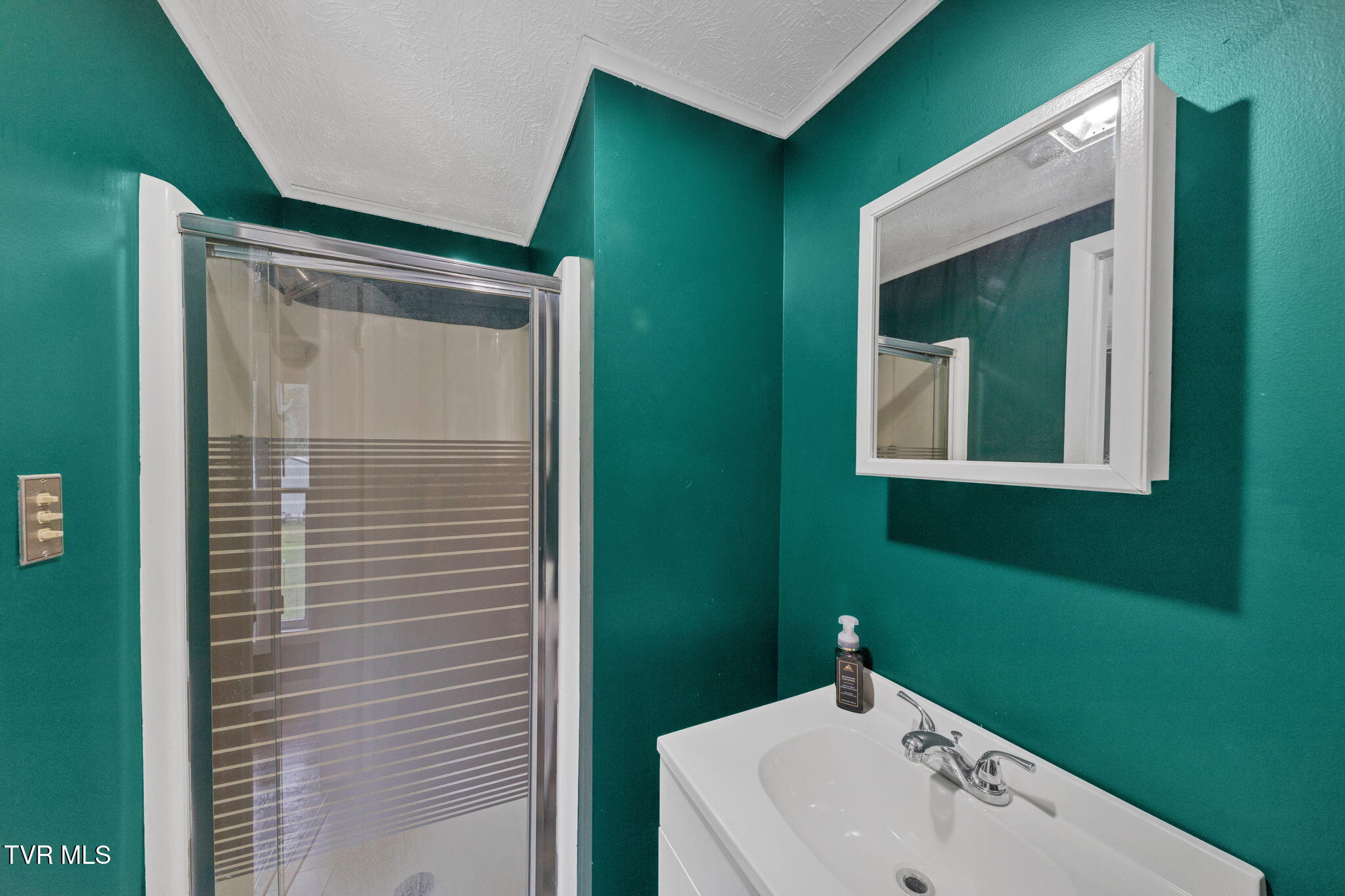 530 Deck Valley Road Bristol, TN 37620 - Photo 16 of 44 30-web-or-mls-M50A9669