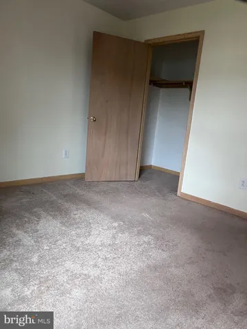 a view of a backyard with plants and large trees