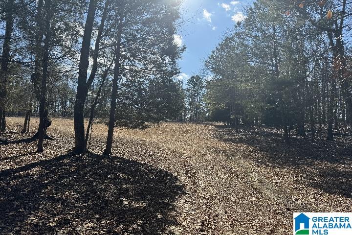 1036 Rushing Springs Road Lincoln, AL 35096 - Photo 38 of 58