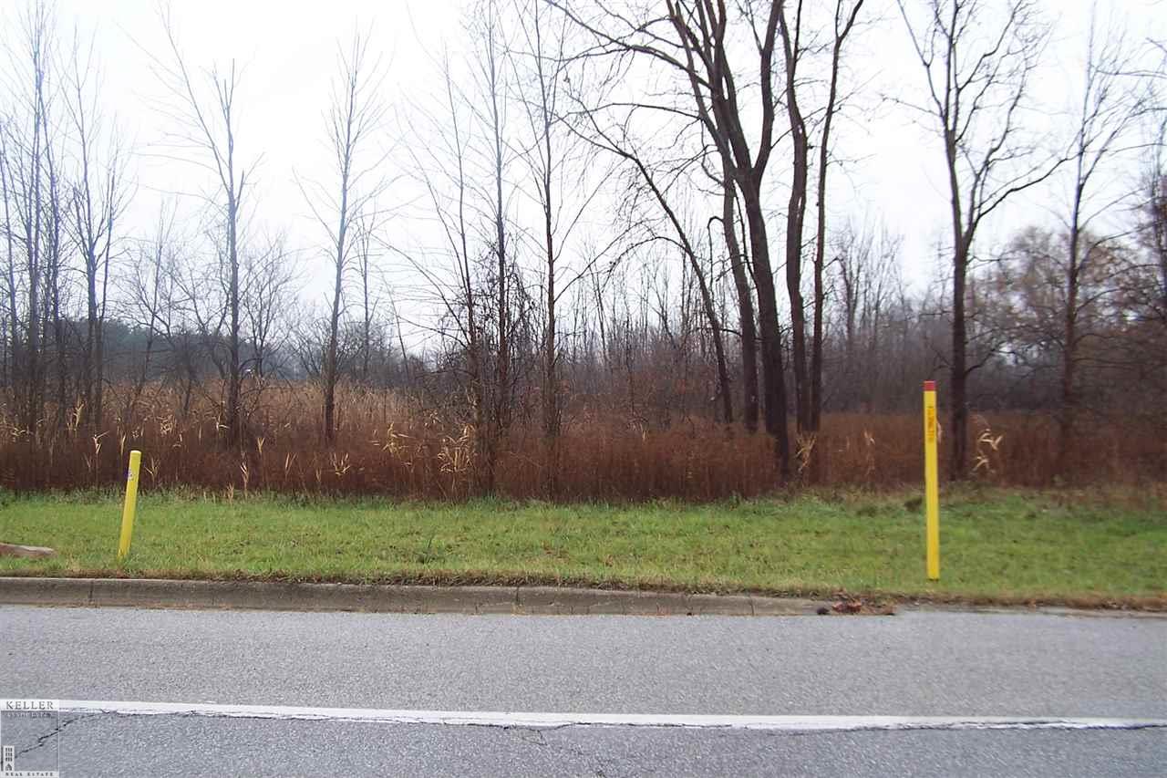 29 Mile Road Washington, MI 48094 - Photo 2 of 4 Gallery Image 2