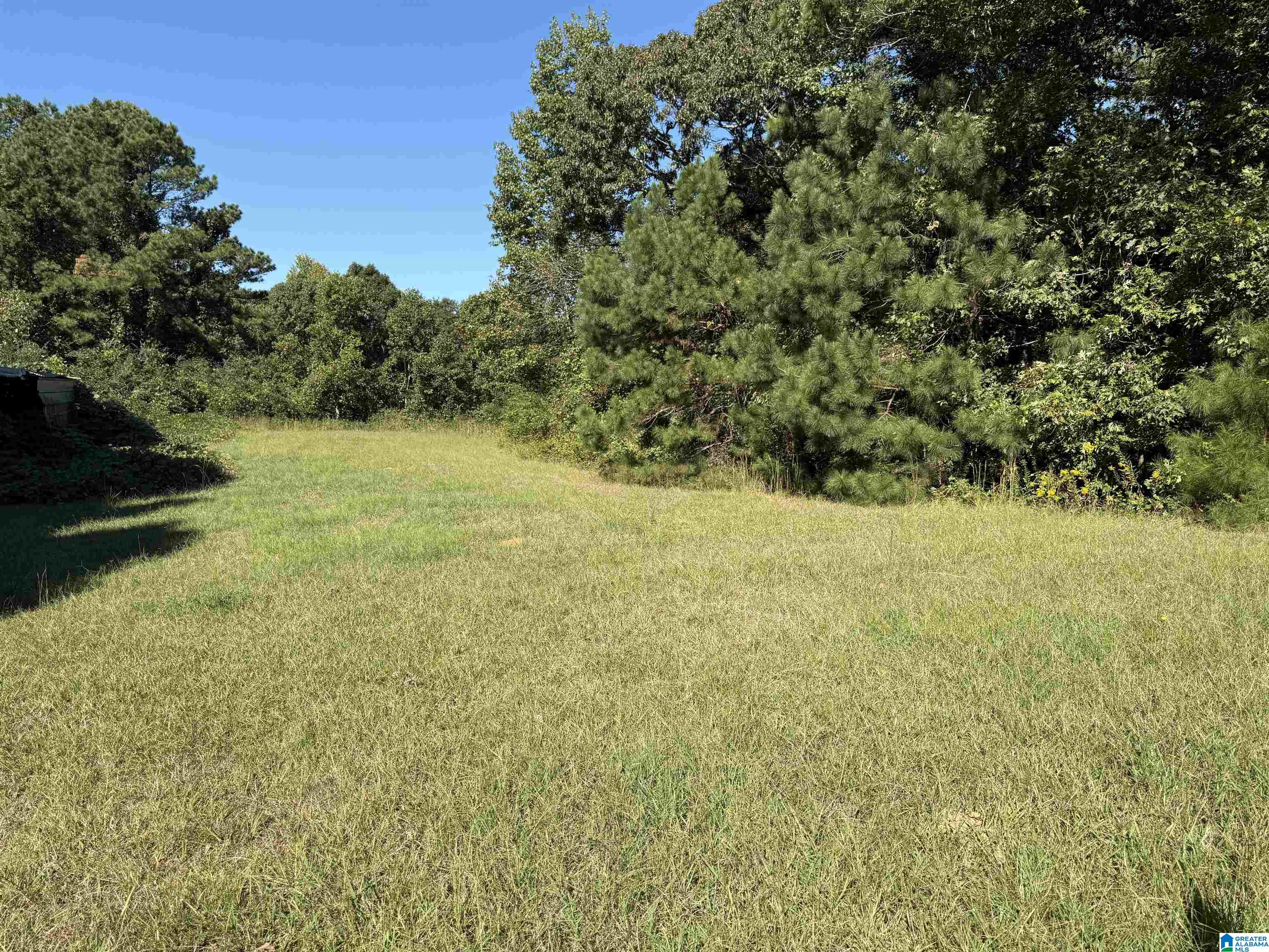 2361 New County Line Road Sylacauga, AL 35151 - Photo 9 of 35