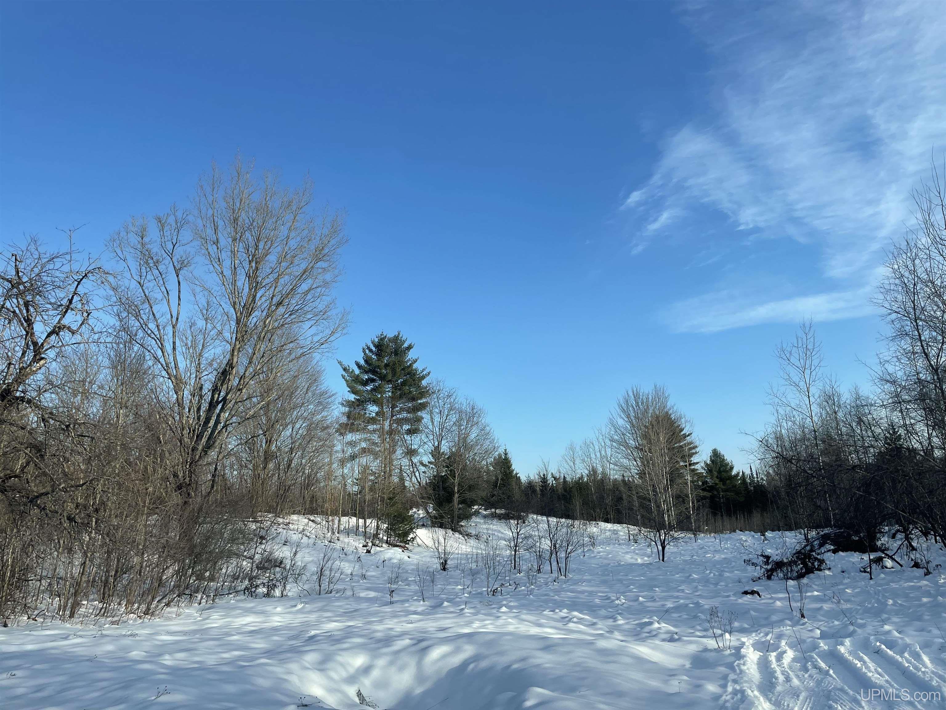 456 Rd Seney Mi 49883 Road Germfask, MI 49836 - Photo 3 of 8