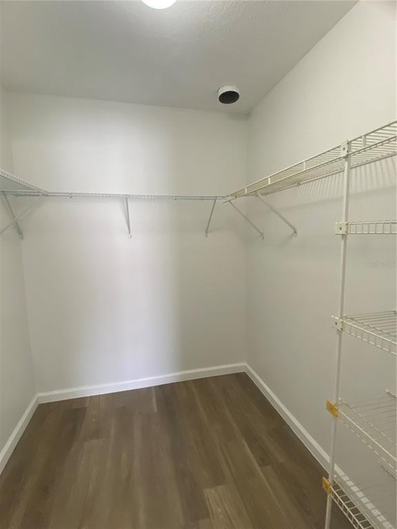 10020 North Connechusett Road Tampa, FL 33617 - Photo 8 of 15