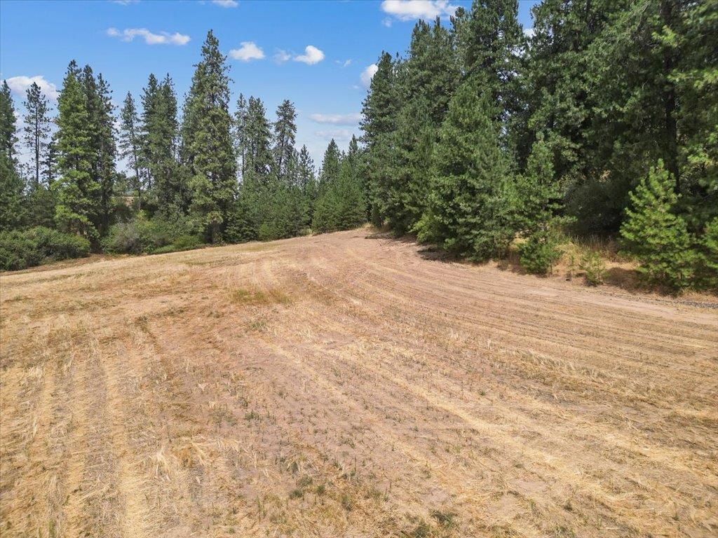Argonne-bigelow Gulch Road, Unit LOT 3 Spokane, WA 99217 - Photo 14 of 21