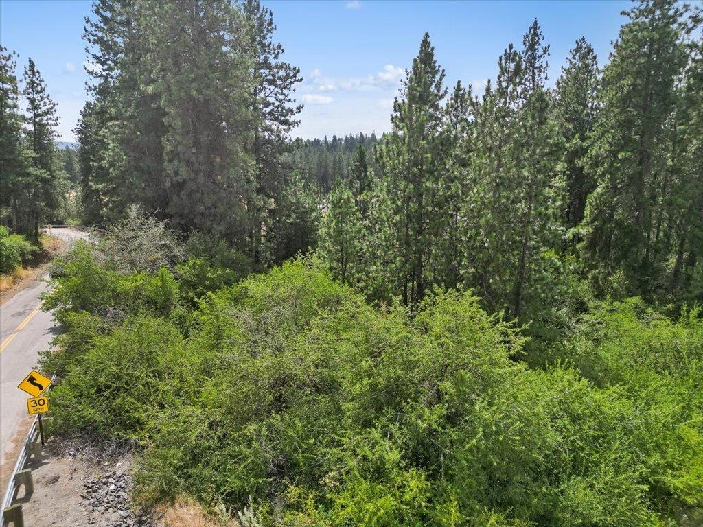 Argonne-bigelow Gulch Road, Unit LOT 3 Spokane, WA 99217 - Photo 20 of 21