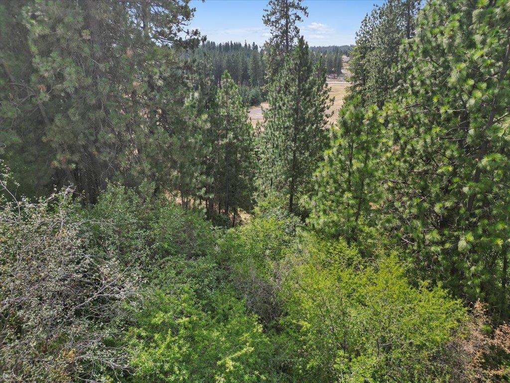 Argonne-bigelow Gulch Road, Unit LOT 3 Spokane, WA 99217 - Photo 21 of 21