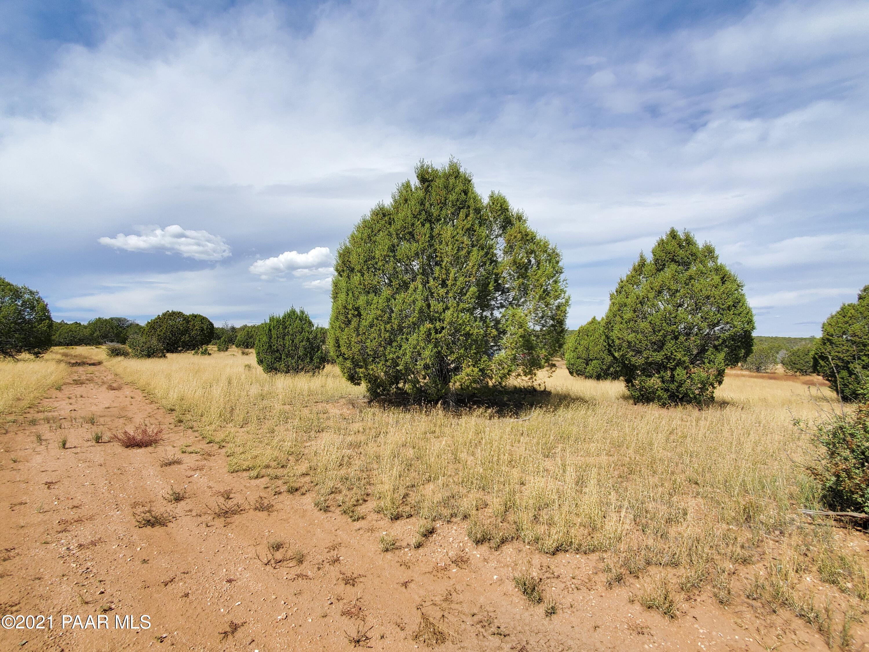 0 Stagecoach Road Ash Fork, AZ 86320 - Photo 13 of 56 20211004_114118