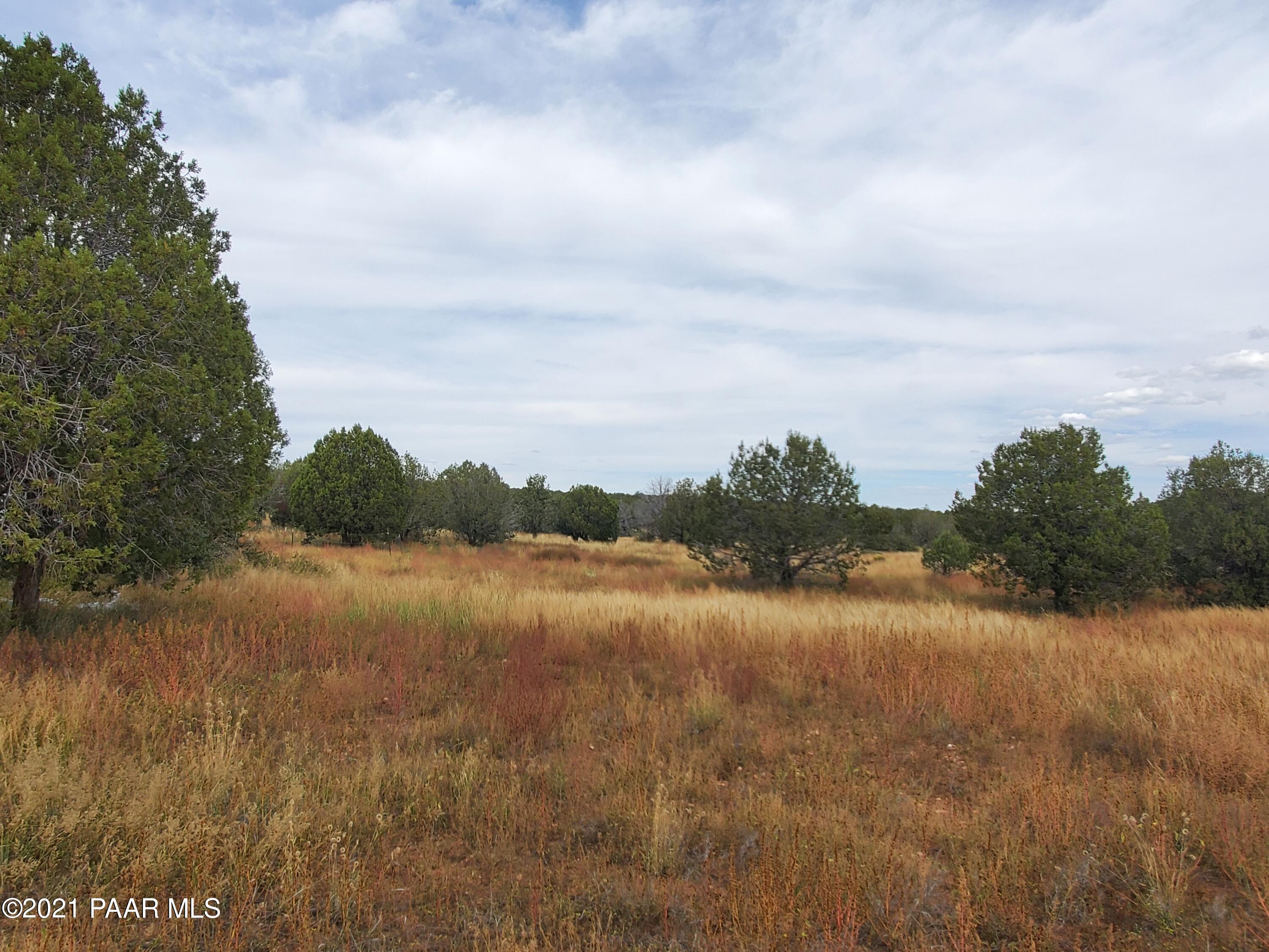 0 Stagecoach Road Ash Fork, AZ 86320 - Photo 22 of 56 20211004_111745