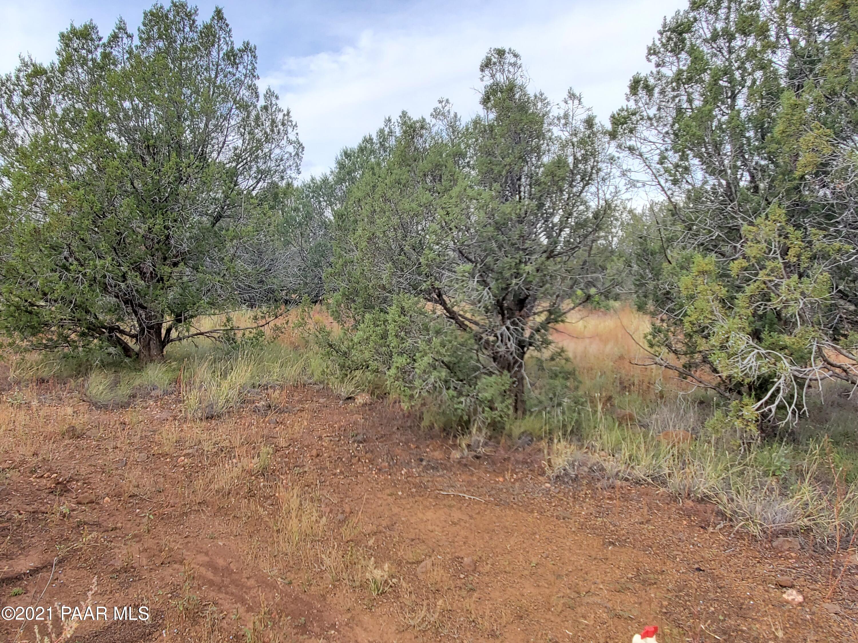 0 Stagecoach Road Ash Fork, AZ 86320 - Photo 36 of 56 20211004_111230