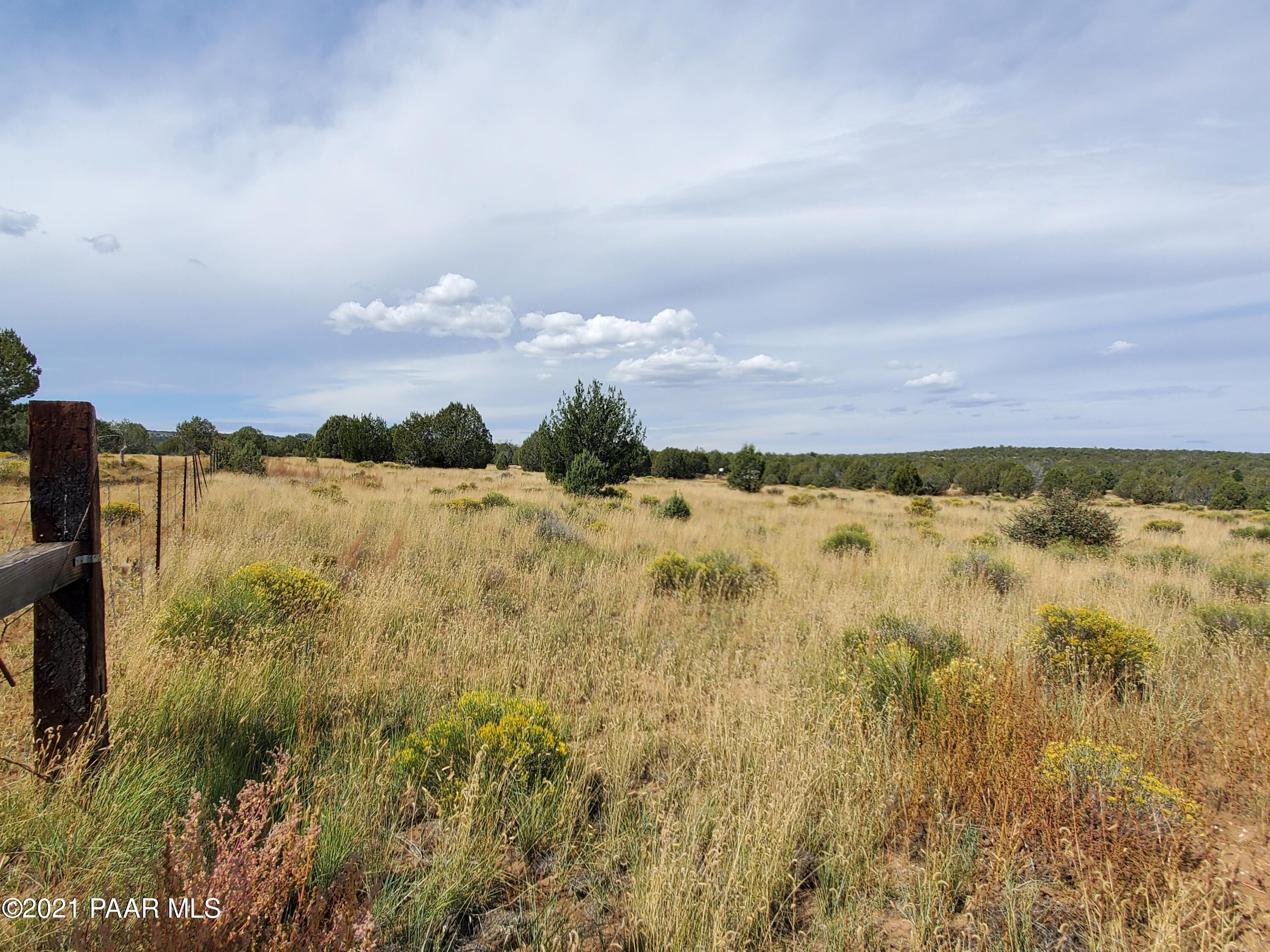 0 Stagecoach Road Ash Fork, AZ 86320 - Photo 8 of 56 20211004_114316