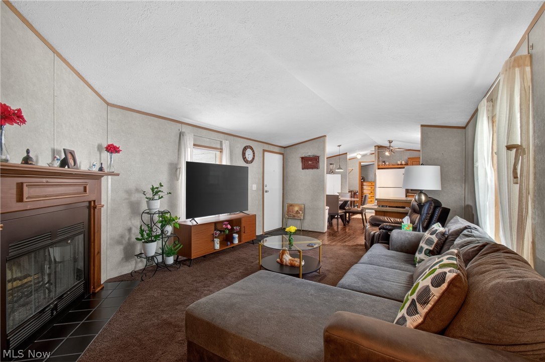 110 West Lebanon Road, Unit 37 Dalton, OH 44618 - Photo 4 of 22