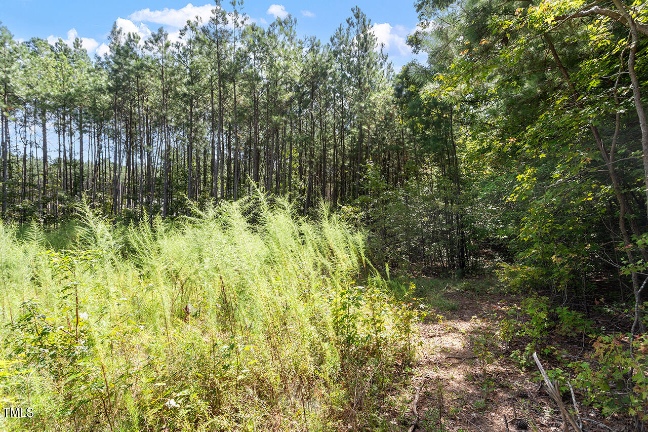 7524 Mitchell Mill Road Zebulon, NC 27597 - Photo 16 of 23 7524 Mitchell Mill Road_14