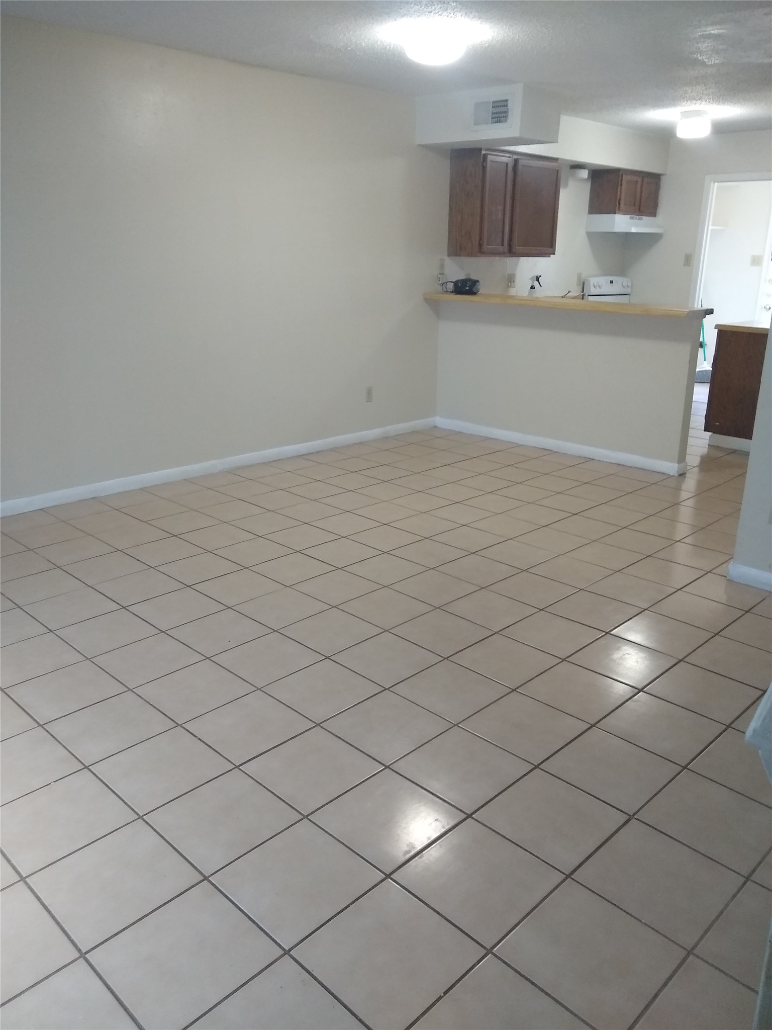 9029 Carousel Lane, Unit B Houston, TX 77080 - Photo 3 of 12