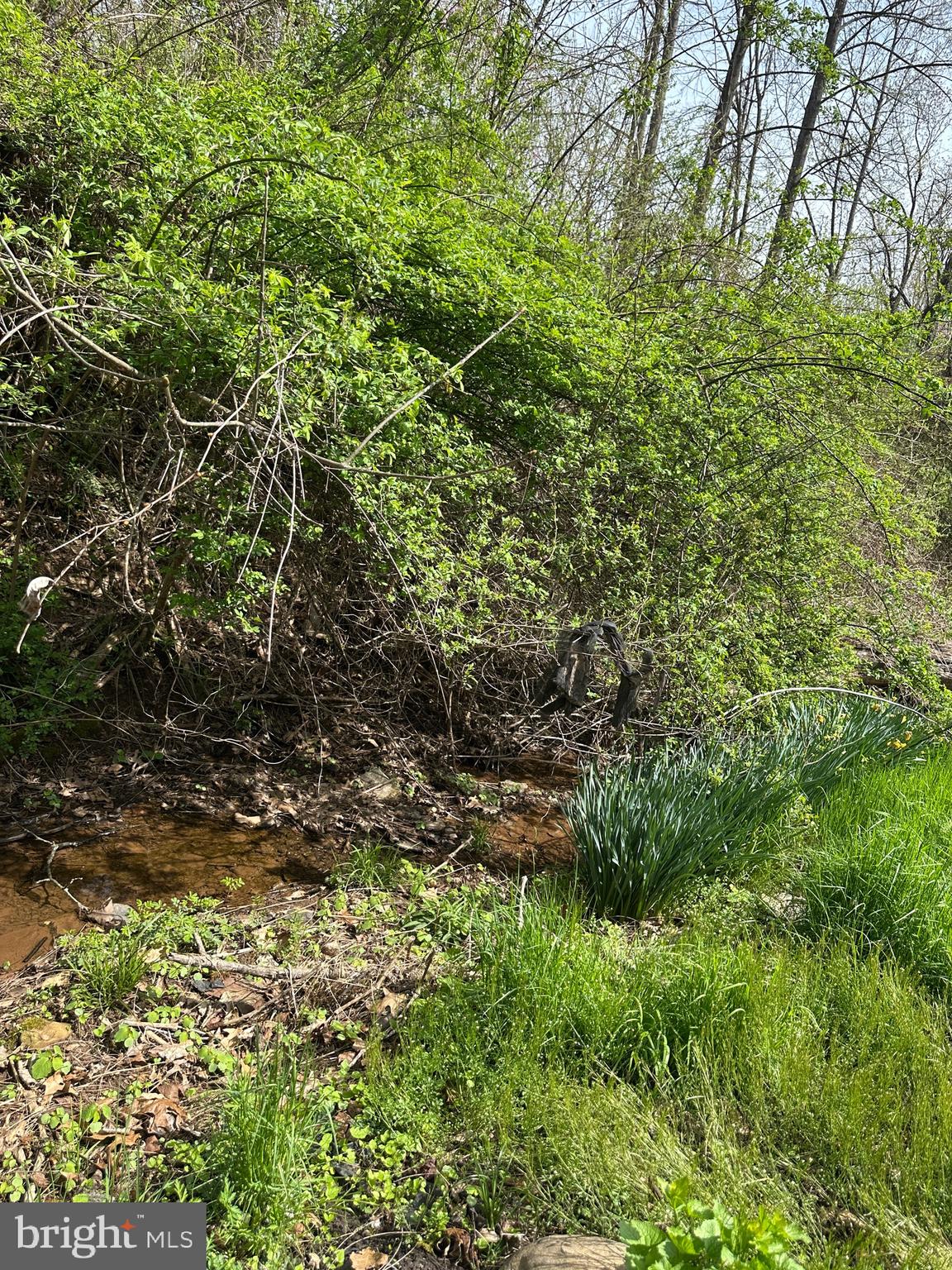 2084 Silvers Road Berkeley Springs, WV 25411 - Photo 16 of 31 a view of a lush green space
