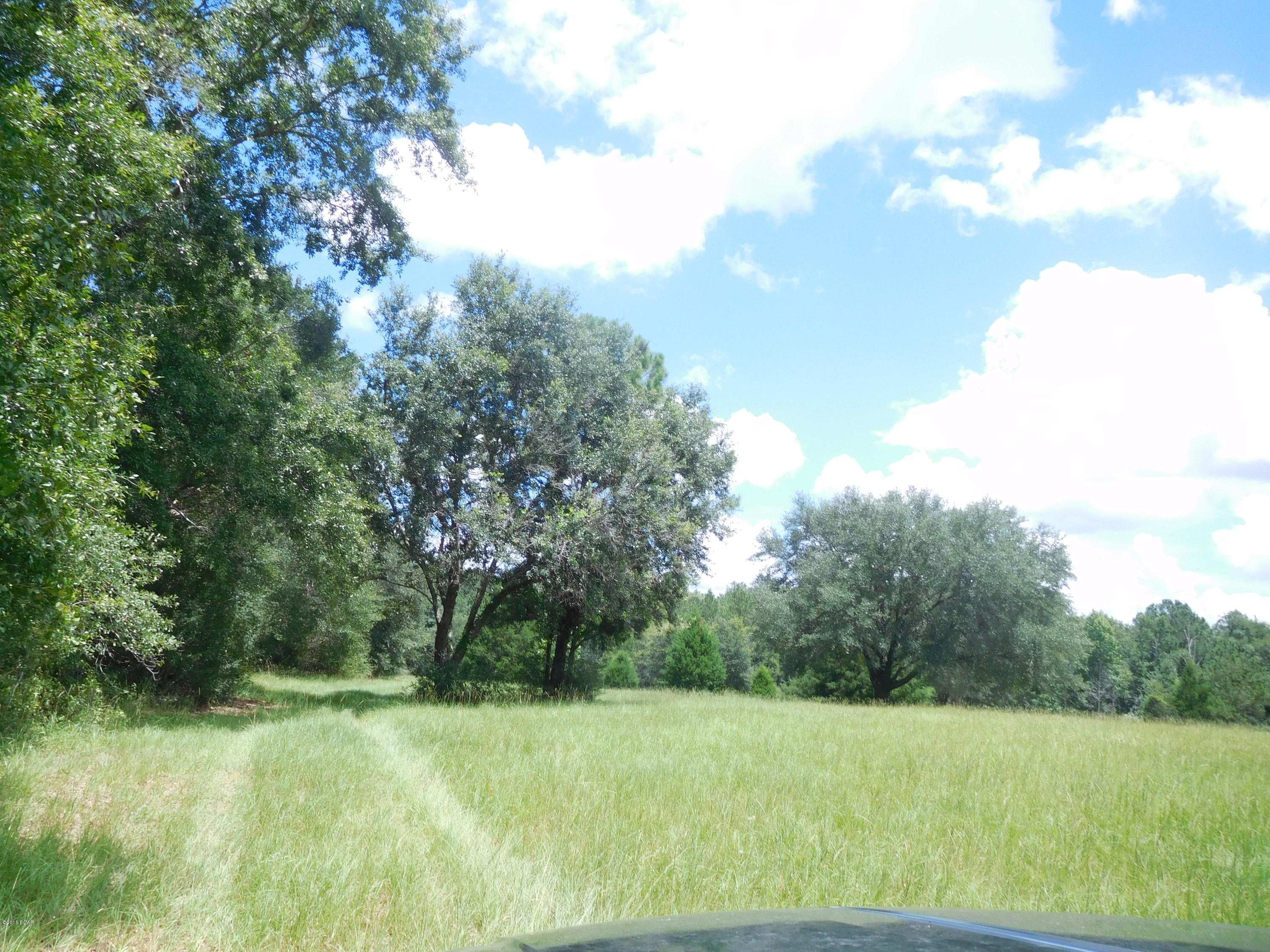 0 Caney Branch Road Bonifay, FL 32425 - Photo 1 of 11 Gallery Image 1