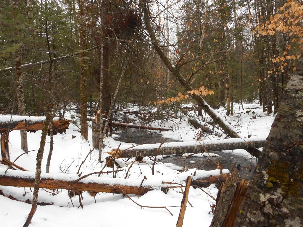 353 Hunter Road Unity, ME 04988 - Photo 10 of 11 8Stream West