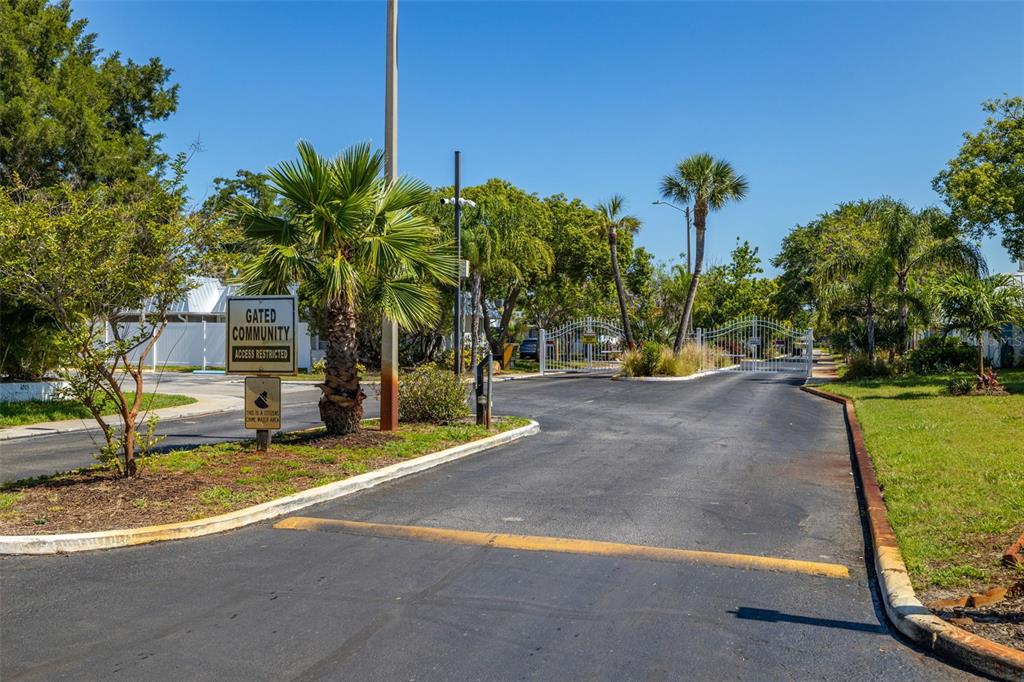 4239 Tamargo Drive New Port Richey, FL 34652 - Photo 26 of 26 a view of a park with palm trees