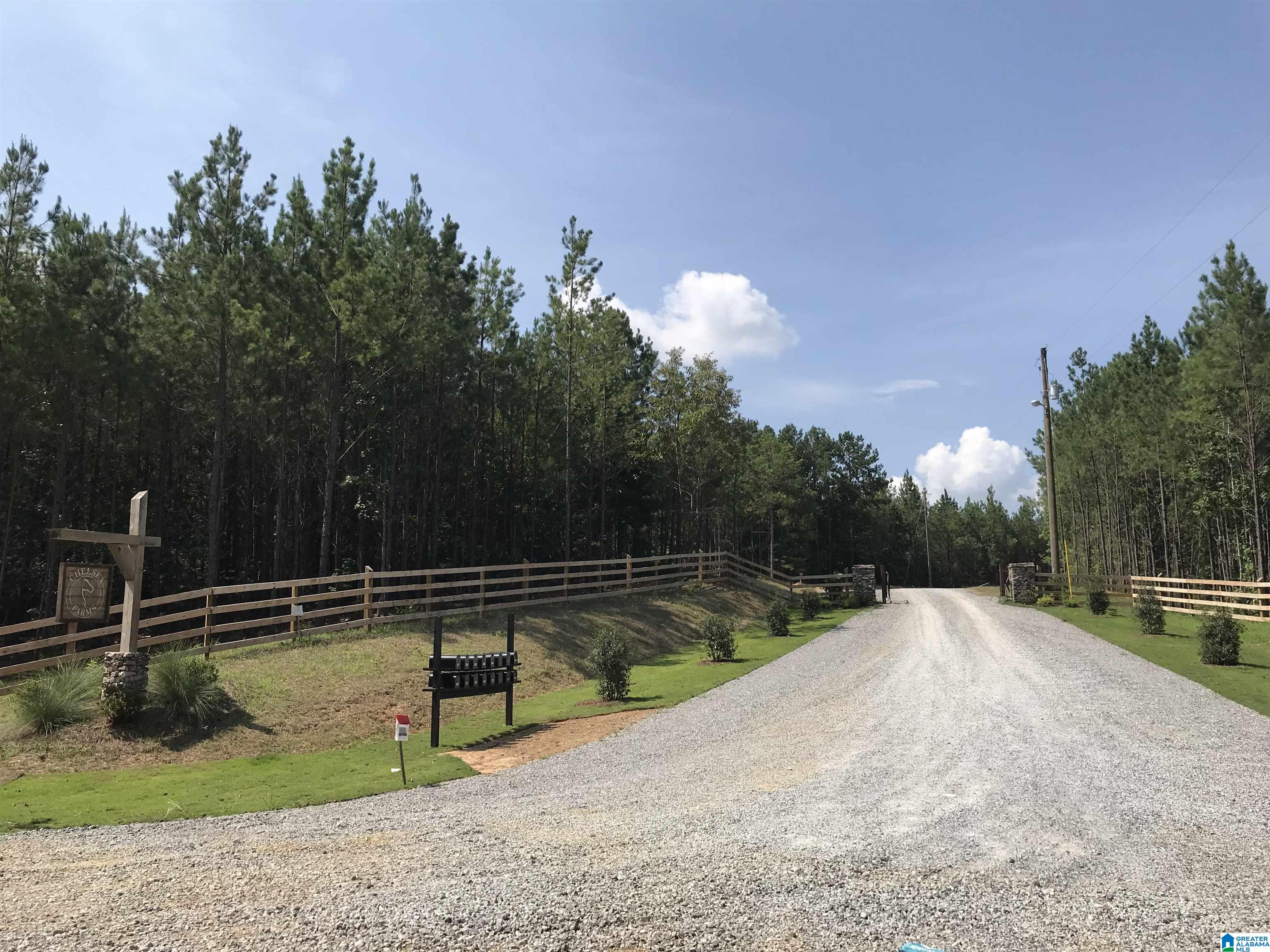 0 Chelsea Farms Road, Unit 24 Chelsea, AL 35043 - Photo 34 of 37