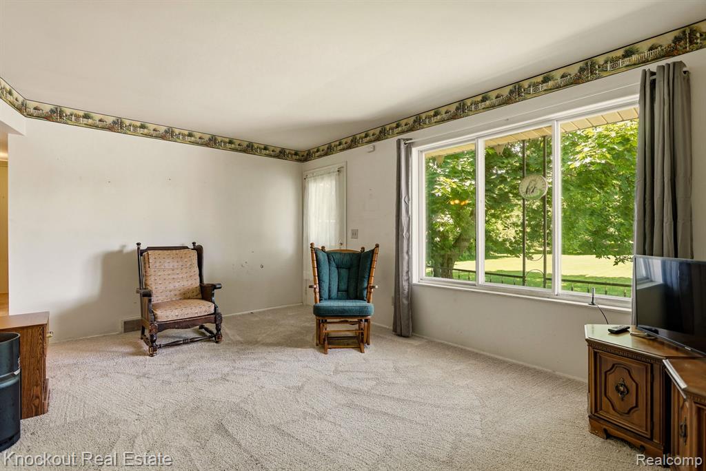 4585 Birch Run Road Millington, MI 48746 - Photo 10 of 59