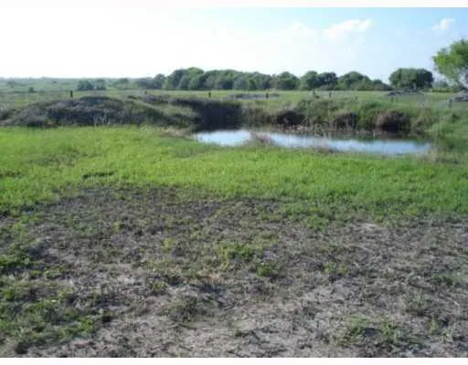 a view of a lake with a yard