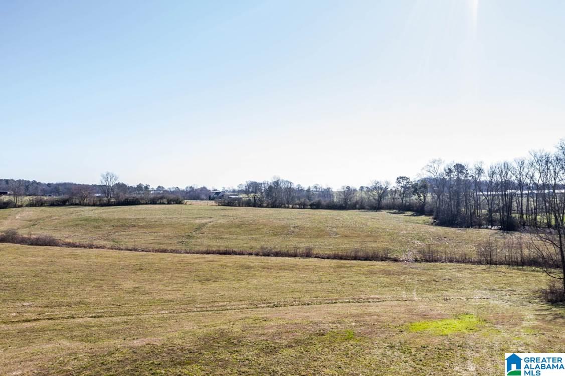 948 Georgia Avenue Ranburne, AL 36273 - Photo 44 of 50