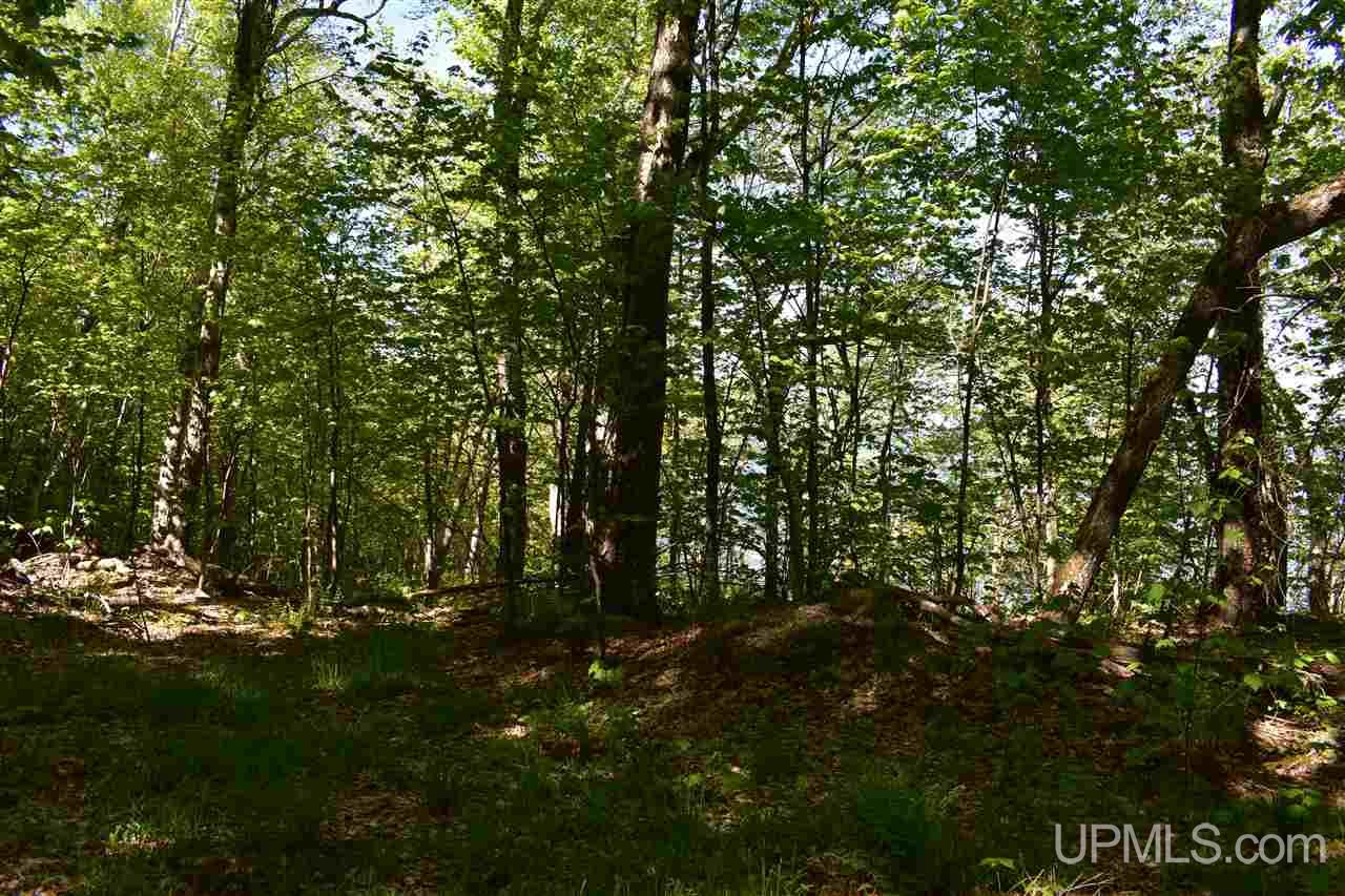 24-acres Co Rd Kb Big Bay, MI 49808 - Photo 39 of 50
