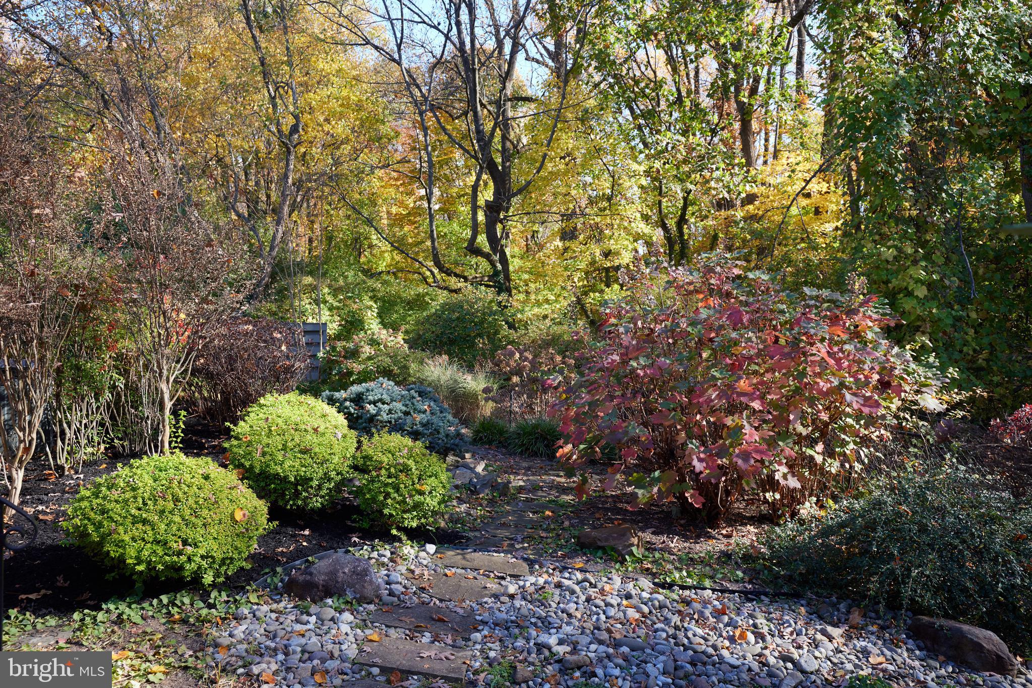 5505 Uppingham Street Chevy Chase, MD 20815 - Photo 4 of 28 Picturesque Backyard