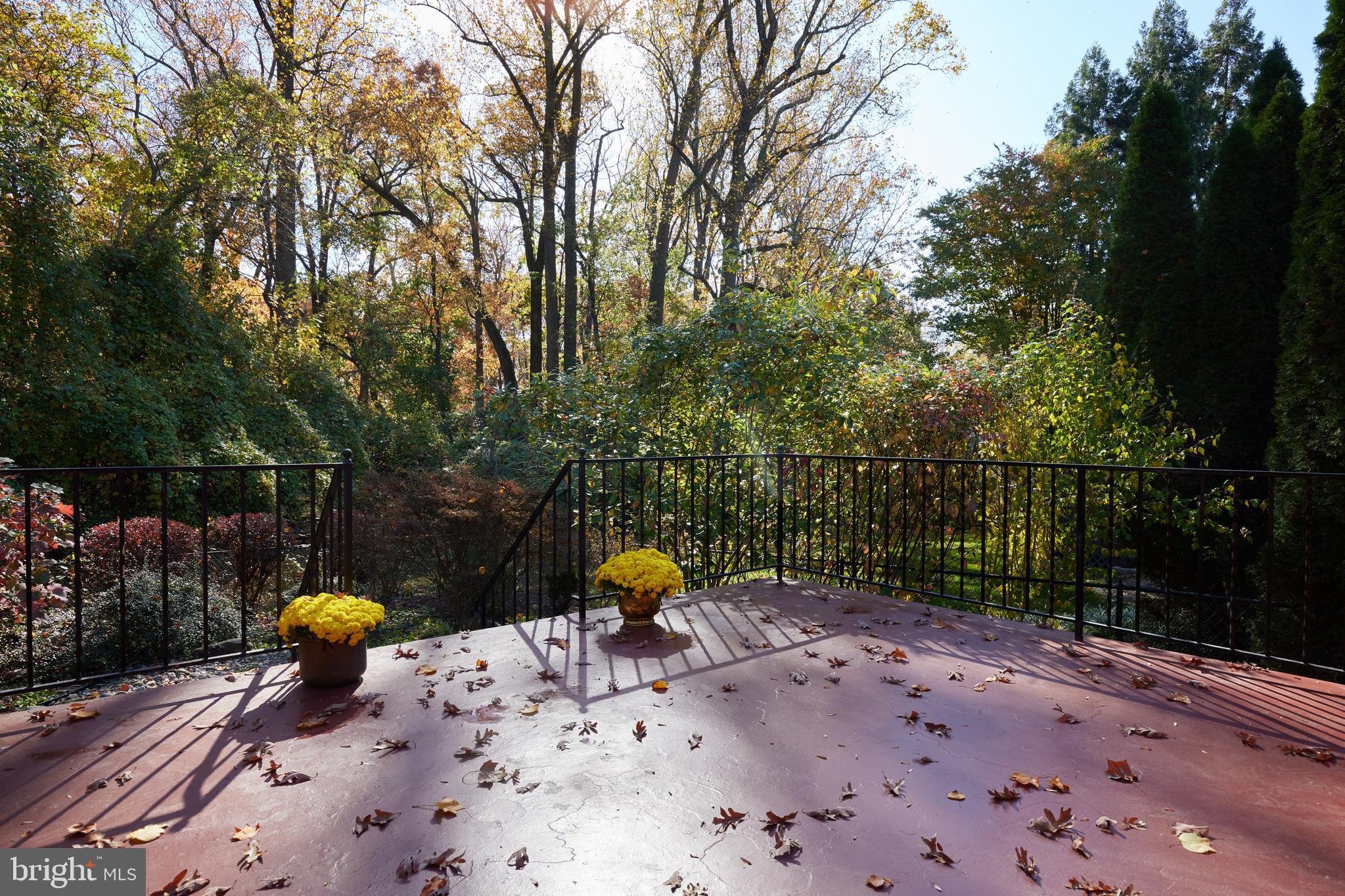5505 Uppingham Street Chevy Chase, MD 20815 - Photo 10 of 28 Serene Patio with Wooded Views