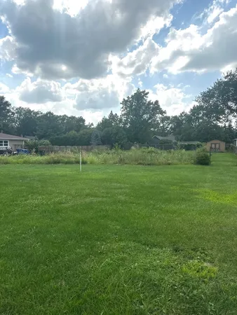 a view of outdoor space and yard