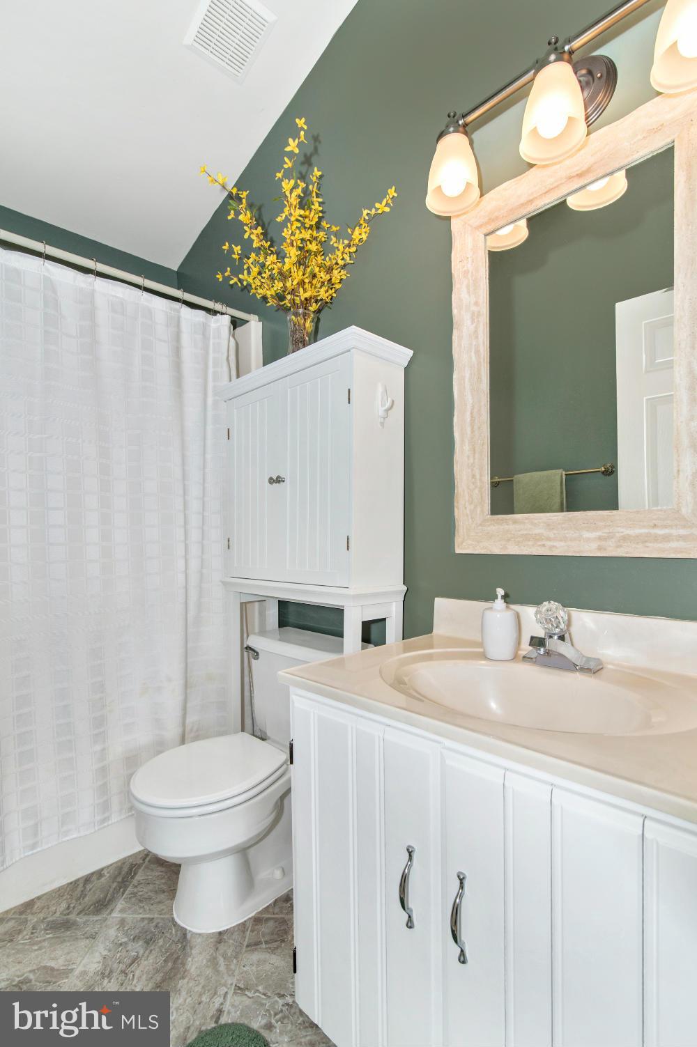 7101 Masters Road New Market, MD 21774 - Photo 13 of 30 Bath (Master)